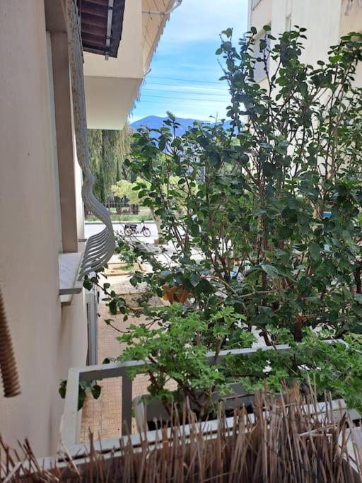 Apartamento Δίπλα Στο Πάρκο Kalamata Exterior foto